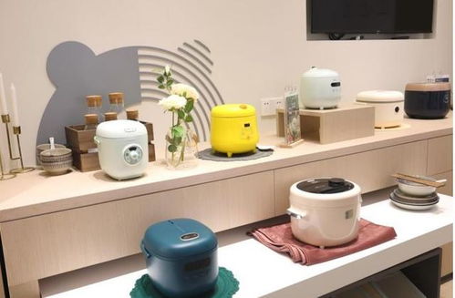 失去了年輕人的寵愛，小家電行業該如何破局？